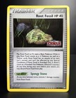 Root Fossil