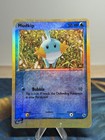 Mudkip