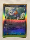 Mudkip