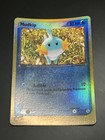 Mudkip