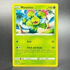 Maractus