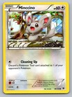 Minccino
