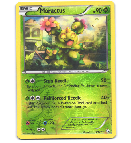 Maractus