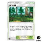 Viridian Forest