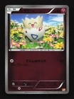 Togetic