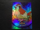 Pidgey