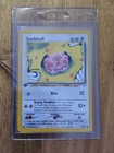 Snubbull