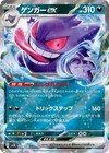 Torterra ex