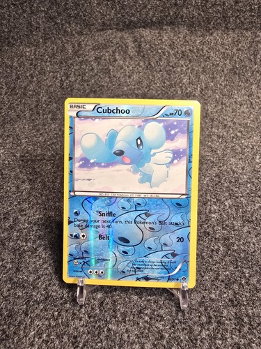 Cubchoo