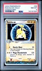 Raichu EX