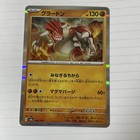 Groudon