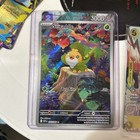 Sewaddle