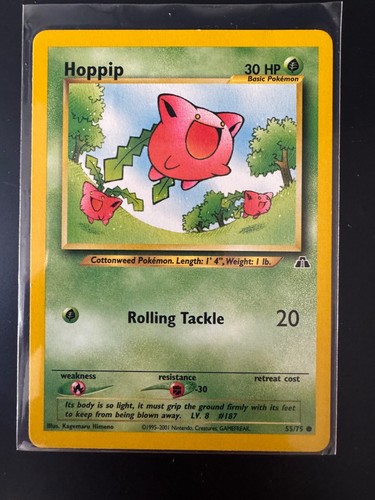 Hoppip