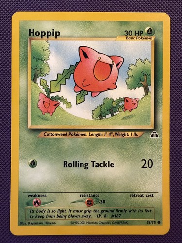 Hoppip