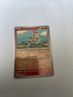 Chimchar