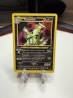 Tyranitar