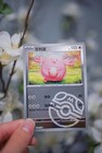 Chansey