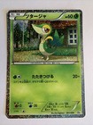 Snivy