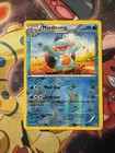 Marshtomp