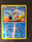 Marshtomp