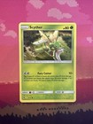 Scyther