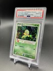 Turtwig