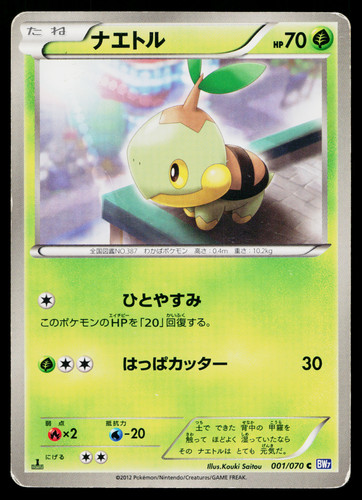 Turtwig