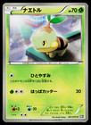 Turtwig