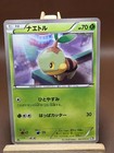 Turtwig