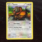 Tauros