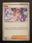 Tulip