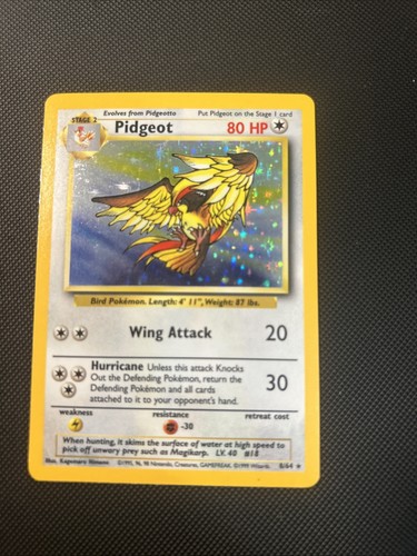 Pidgeot