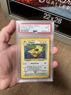 Pidgeot