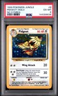 Pidgeot