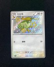 Pidgeotto