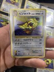 Pidgeot