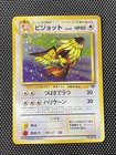 Pidgeot
