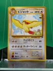 Pidgeot