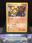 Sunny Castform