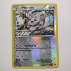 Minccino