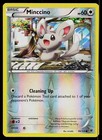 Minccino
