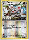 Minccino