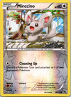 Minccino
