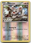 Minccino