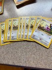 Rattata