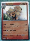 Arcanine