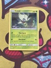 Celebi