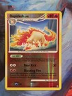 Rapidash
