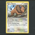 Tauros