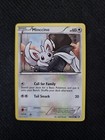 Minccino